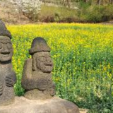 済州島に住んでいる韓国の芸能人まとめ